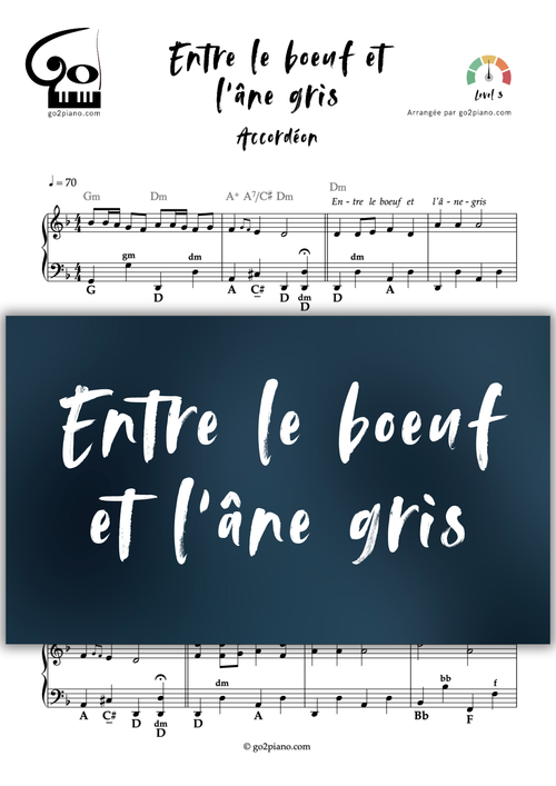 Entre le bœuf et l'âne gris